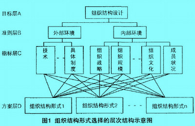 Image:组织结构图1.jpg
