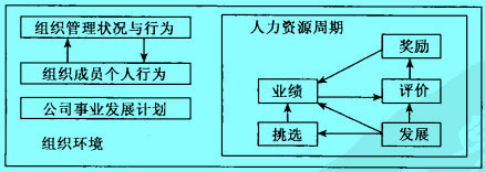 Image:德文娜模型.jpg