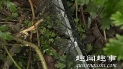 男子住21楼晚上睡觉感觉冷以为窗户没关 走到窗