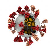 亚博网服务好:揭开新冠病毒“恶魔”面纱